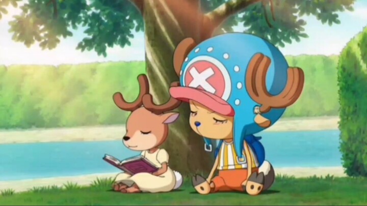 Tony Tony Chopper Wonderland     amv