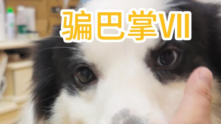 ยูซุ: เล่นไม่ได้ใช่ไหม
