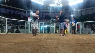 Black vs Sweater Second fight win