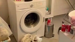 自称“清洁女王”的芬兰小姐姐Auri Katariina，免费帮人打扫房间