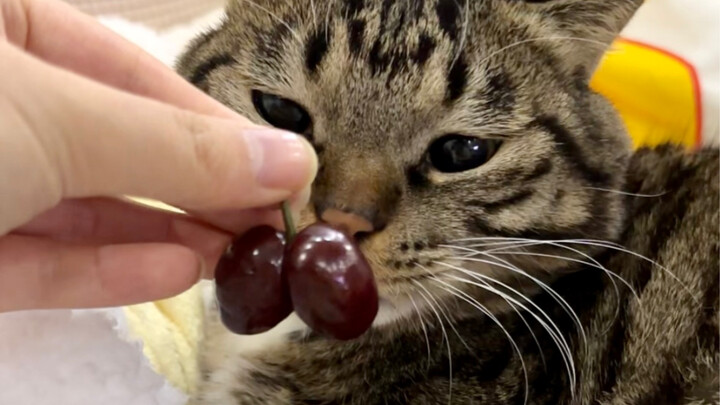 สิ่งที่สูญเสียไปแล้วไม่มีวันหวนคืน