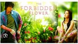 THE FORBIDDEN FLOWER Episode 3 Tagalog Dubbed