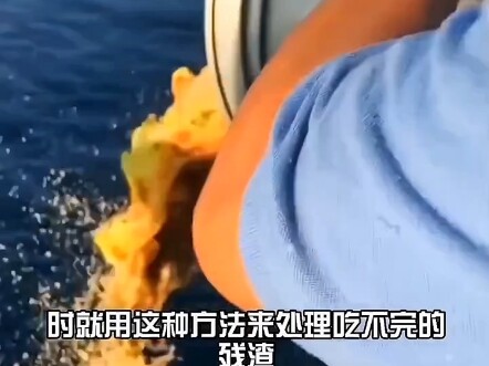 #NewKnowledgeCreator What’s it like feeding fish from an offshore brick well platform? Threw in an a