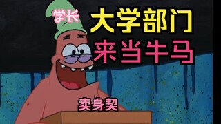 Current Status of University Departments