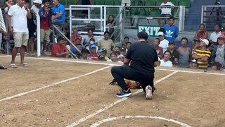 5 STAG @LA GALLERA DE CAGAYAN WDWWL 2nd fight (pointing ang labanan)