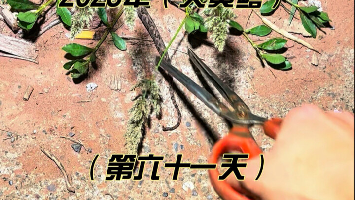 أسبوع آخر من الأشياء الرائعة #RealOutdoors