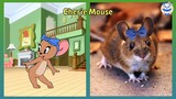 Tom and Jerry Characters In Real Life 2023