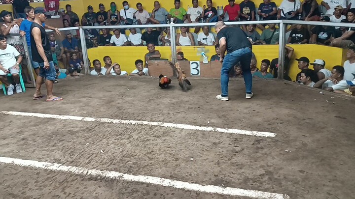 2nd fight aldream bulik