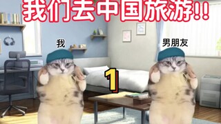 Meme mèo | Chuẩn bị cho chuyến đi Nhật Bản lần đầu tiên đến Trung Quốc, Phần 1
