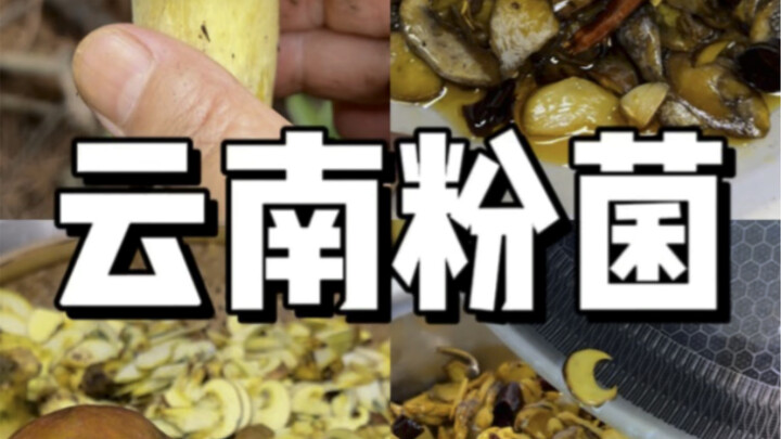 How obsessed are Yunnan people with mushrooms? They don’t just eat them now—they even stash them awa