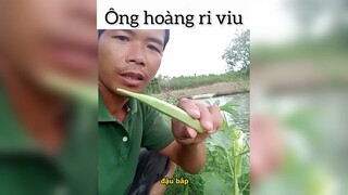 Ông hoàng ri viu