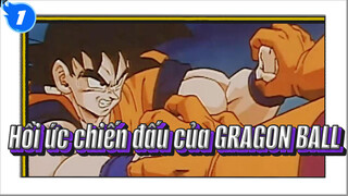 Hồi ức chiến đấu của GRAGON BALL_1