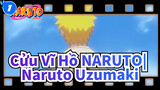 Cửu Vĩ Hồ NARUTO| Naruto Uzumaki_1