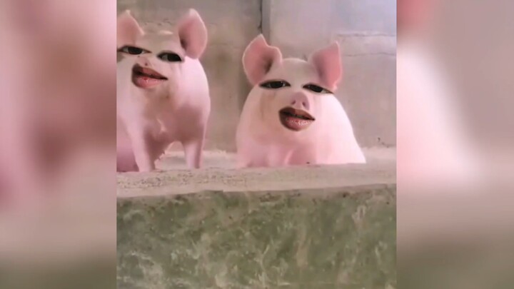 What If Animals Could Talk 4