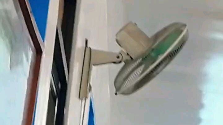 Standard Wall Fan