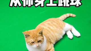 Cản đường ghi bàn của tôi à