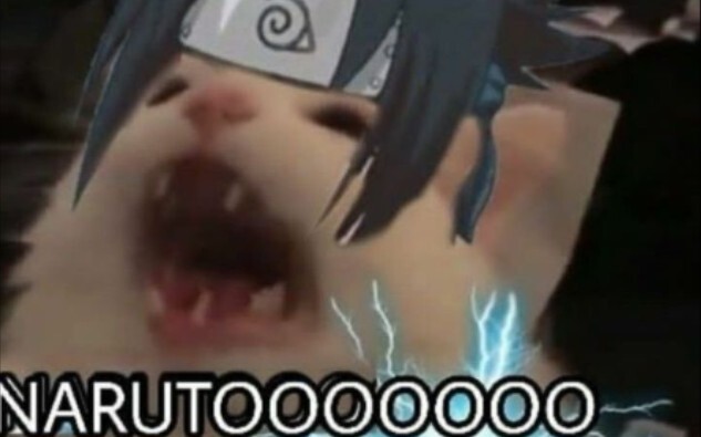 【Naru Sa】Reaksi marah Sasuke saat dia bangun dua kali