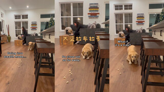 لص الفشار الكبير🍿