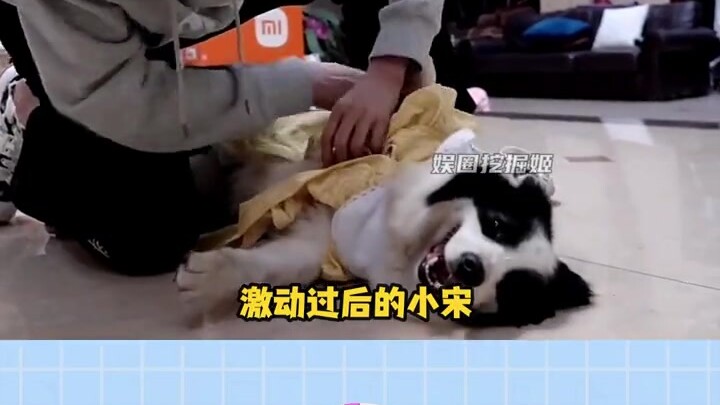 ถ้าพวกเธอมีความสุข ผมคงร้องไห้ก่อนพวกเธอซะอีก #ซ่งหย่าเสวี่ยน #ซ่งเม้าส์ #ทีมหนุ่มแห่งยุค #ตึกสิบแปด