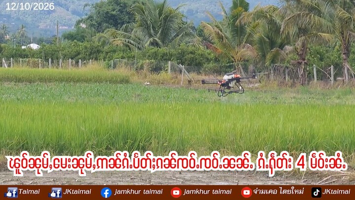 ၵႂၢမ်းၵူၼ်းထဝ်ႈမိူဝ်ႈၵွၼ်ႇလၢတ်ႈၼႄ  လွင်ႈၽူဝ်ၼုမ်ႇမေးၼုမ်ႇ လီၾၢင်ႉသတိ