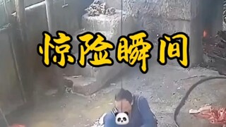 惊险瞬间 危险瞬间 恐怖瞬间