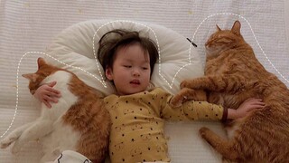 Tidur siang pertama di tahun 2021, bangun dengan ditemani oleh kucing.