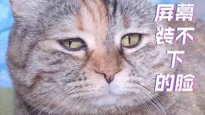 Mommy, I’m hungry… Wait, no! You just want Mommy to give you a cuddle.