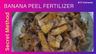 Banana Peel Tea | How To Make Organic Foliar Fertilizer