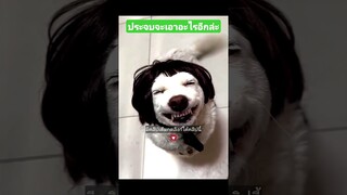 ประจบจะเอาอะไรอีกล่ะ