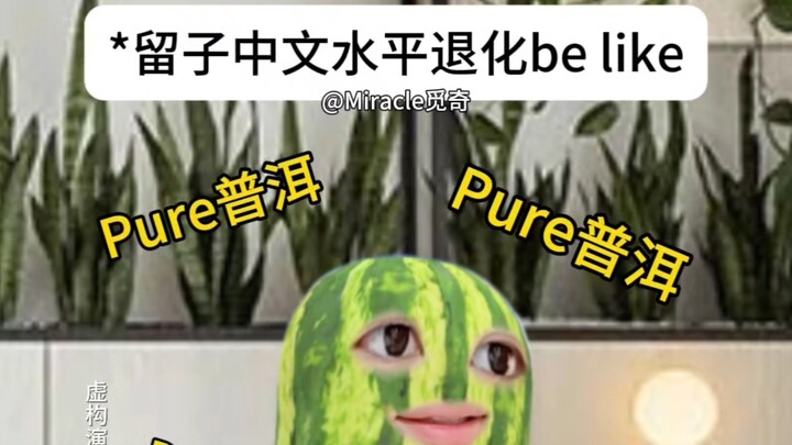 Record of Liuzi's Chinese Language Decline 14