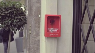 Hoa hồng khẩn cấp trên đường phố Paris: Nếu gặp tình yêu, hãy đập vỡ kính