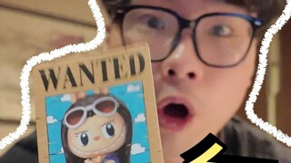 Ini adalah kotak rahasia One Piece yang paling mengejutkan saya!