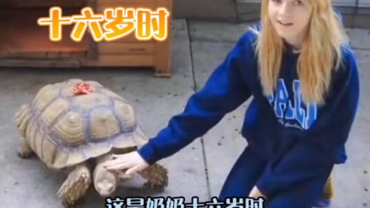 فتاة ورثت سلحفاة ربتها عائلتها لأجيال + #عاطفة