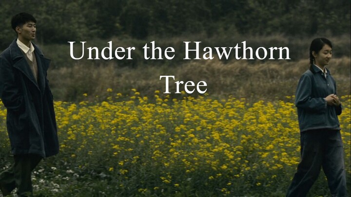 Under the Hawthorn Tree (2010) | English Subtitle | Chinese Romantic Movie | Tragic Love Story Movie