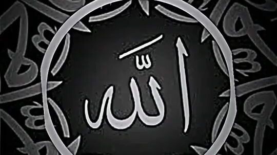 gapapa gak punya ayang tapi punya...