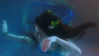 [Siren•Mermaid Mix] Keindahan Bawah Air