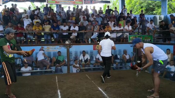 Mclean /lemon koronado -win