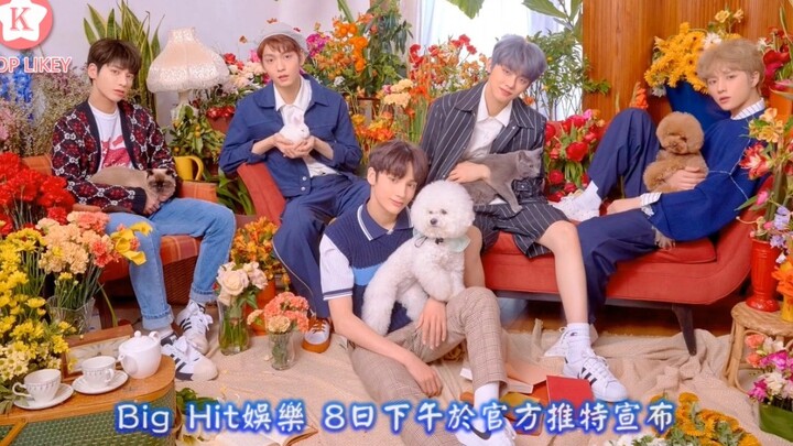 Two TXT Members Injured and Missing Activities! Comeback Plans Delayed Too!