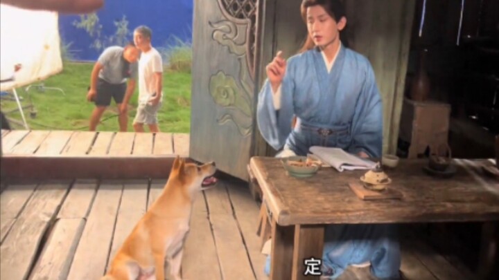 【The Lotus Casebook】A special compilation of behind-the-scenes moments featuring Li Lianhua and the 