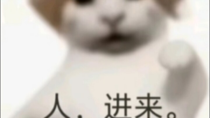มีคนเข้ามา มีเรื่อง