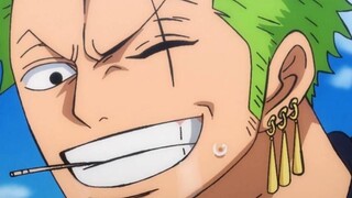 [Roronoya·ZORO/Touch Point] Bạn có một thanh kiếm Shura, và tôi có một thế giới tuyệt vời