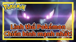 [Linh thú Pokémon] Chiến binh mạnh nhất!