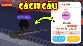 Cách Câu Cá Mới "Cá Tầm" Thành Công 100%, Thời Gian + Địa Điểm + Bóng Mấy? | Play Together