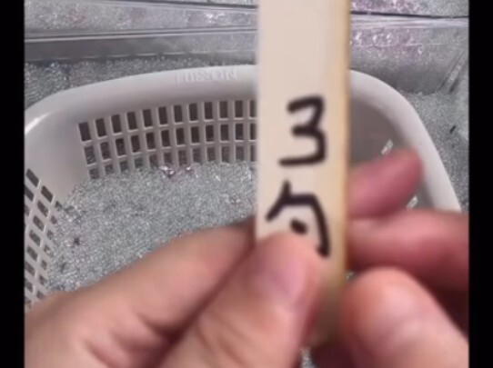 A video of a suspected summer worker taking revenge on his boss has been leaked. Hahahahahahahahahah