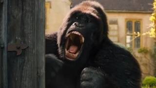 .สัตว์เหล่านี้เหมือนกับเหล่านั้น