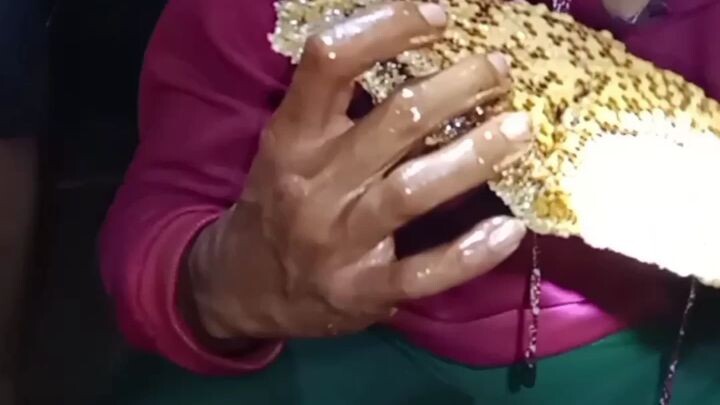 Bongkar sarang lebah madu ( apis cerana )