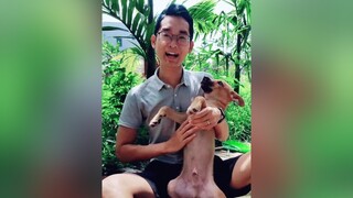 Thỉnh thoảng cũng phải lên hình tí ko mọi người lại chẳng biết mình. cunyeucuadua chó yeuchomeo chócute chócon