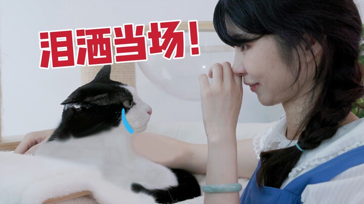 请猫咪沟通师来家里，竟让猫和主人抱头痛哭？！