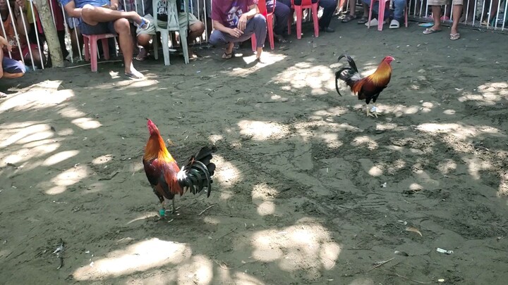 adobo lines lang ang baon