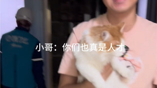 关于外卖小哥的果然什么都能干这件事情《暴 风 营 救》